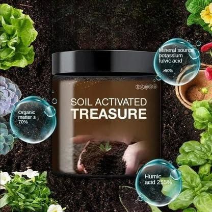 Organic Soil Activator – Premium Soil Activated Treasure (Pack of 2, 400g) – Improves Soil Fertility & Plant Growth